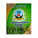 Wheat Seeds - OM Ganga Seeds