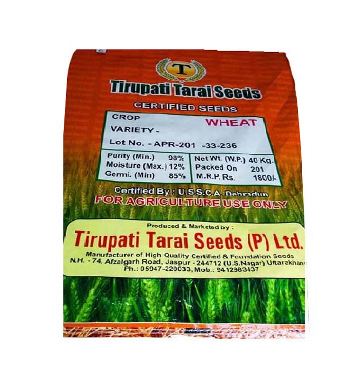 Wheat Seeds - Tirupati Seeds
