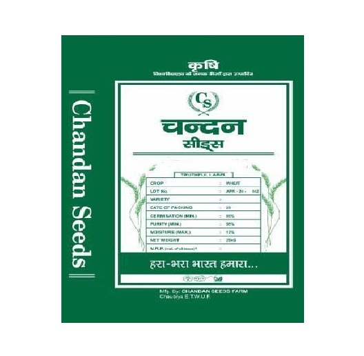  Wheat Seeds - Chandan Seeds