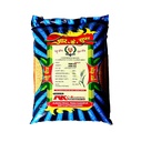 Wheat Seeds - RK Agarwal