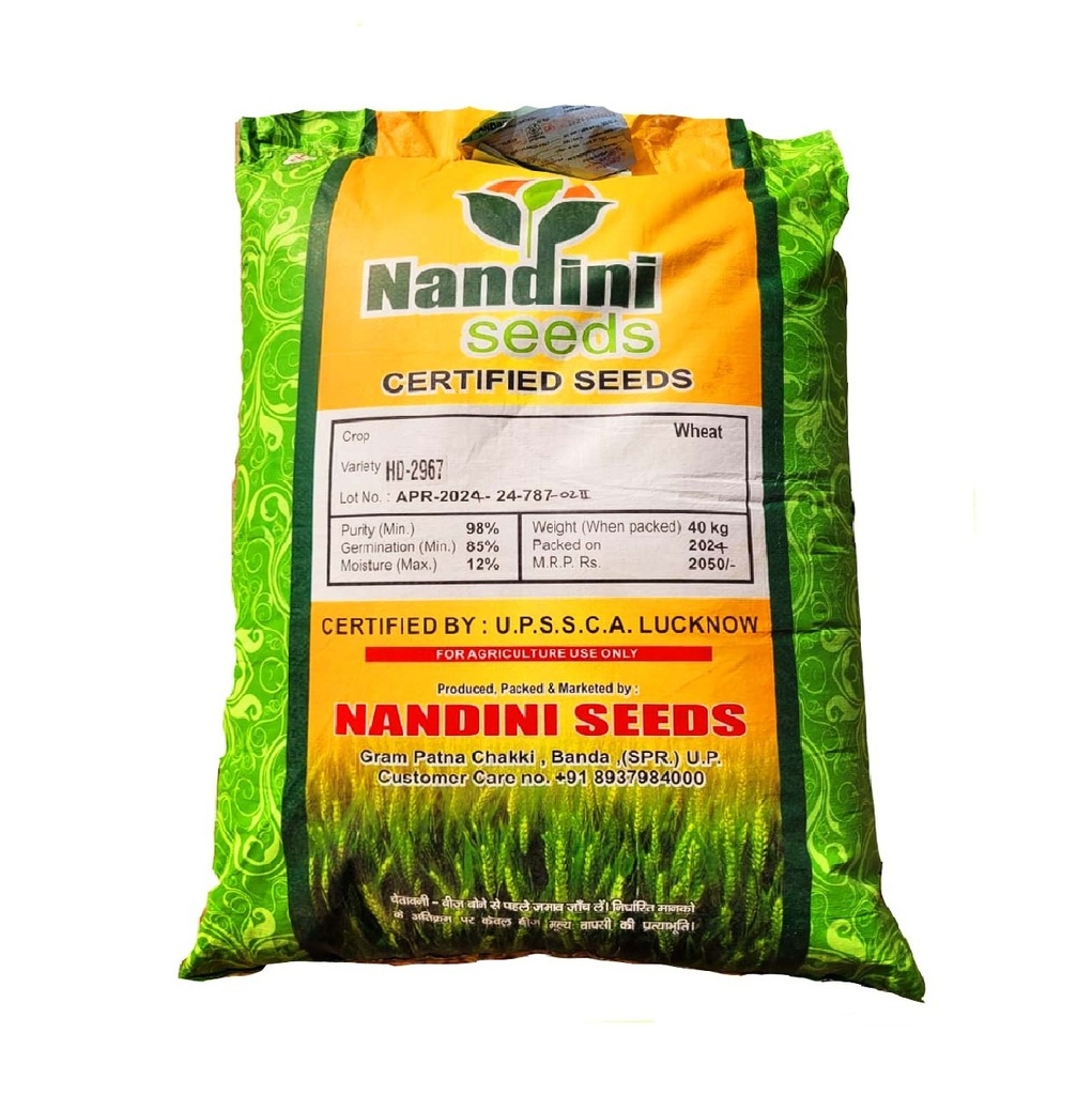 Wheat Seeds - Nandini Seeds