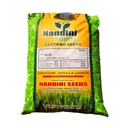 Wheat Seeds - Nandini Seeds