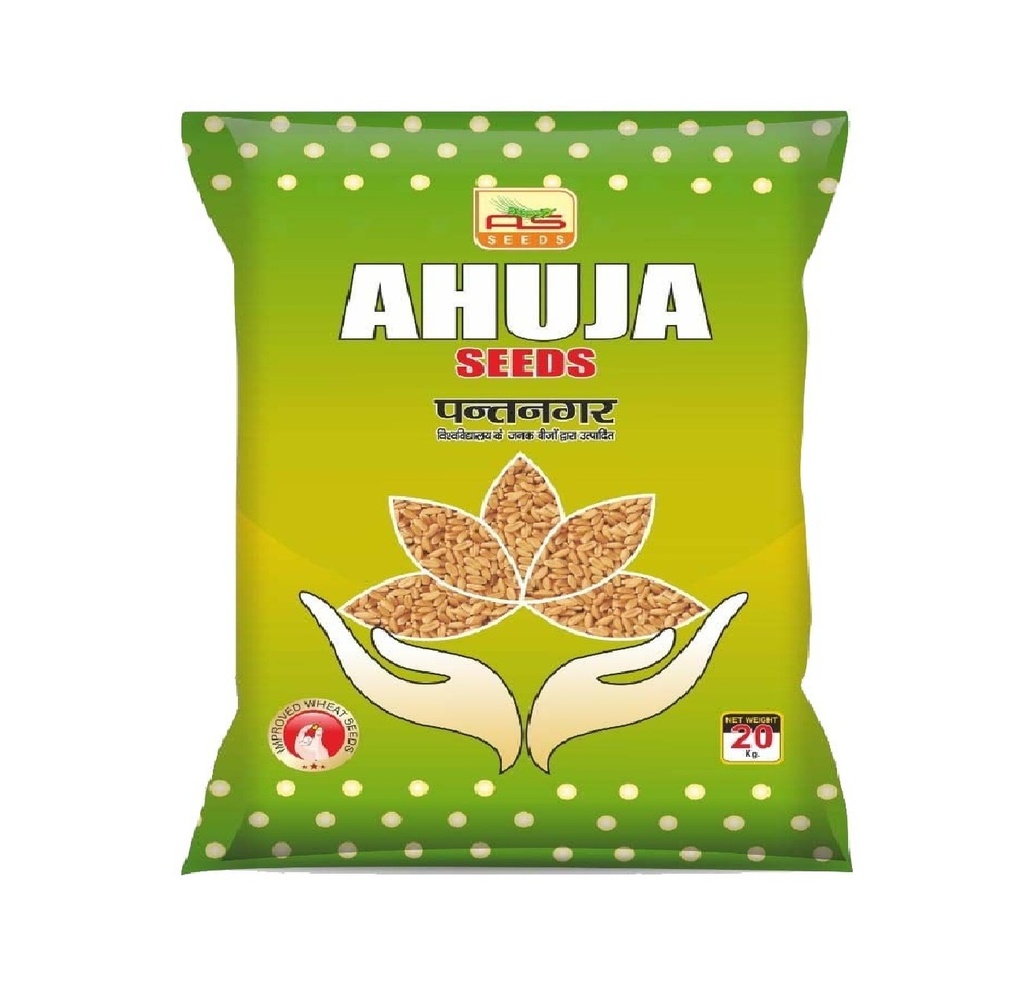 Wheat Seeds - Ahuja Seeds