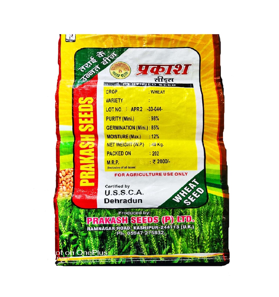 Wheat Seeds - Prakash Seeds