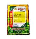Wheat Seeds - Prakash Seeds