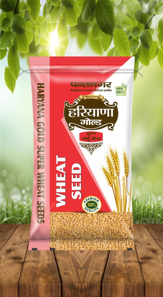 Haryana Gold - Pilibhit