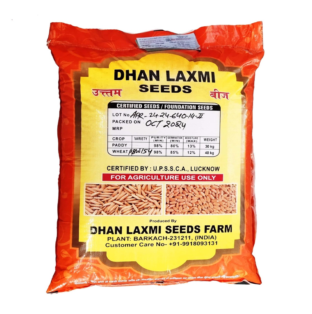 Wheat Seeds - Dhan Laxmi Seeds