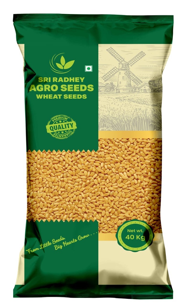Wheat Seeds - Sri Radhey Agro Seeds
