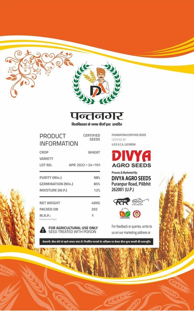 Wheat Seeds - Divya Agro Seeds