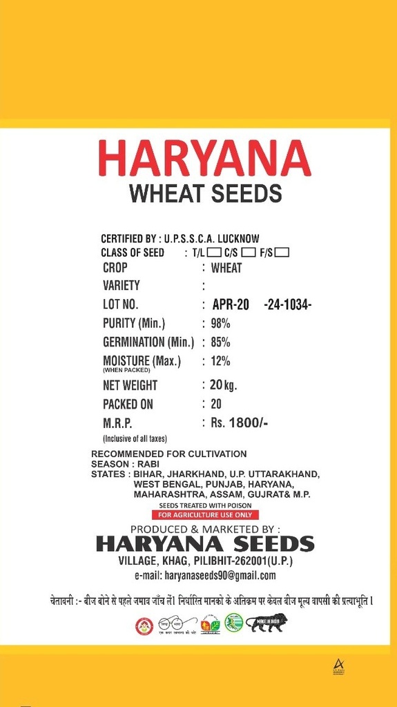 Wheat seeds - Haryana seeds