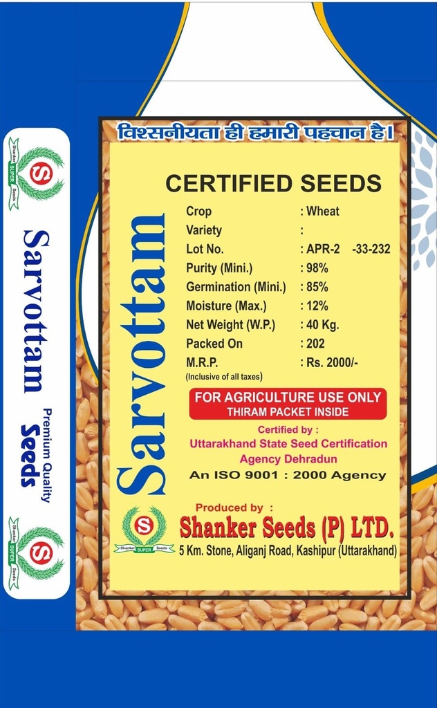 Wheat Seeds - Shanker Seeds 