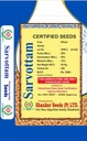 Wheat Seeds - Shanker Seeds 