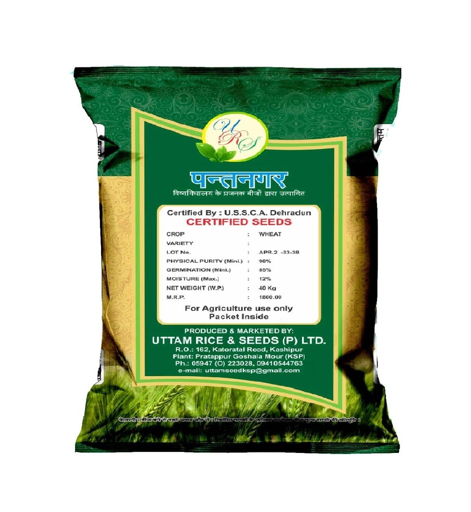 Wheat Seeds - Uttam Seeds