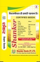 Wheat Seeds - Shankar Seeds