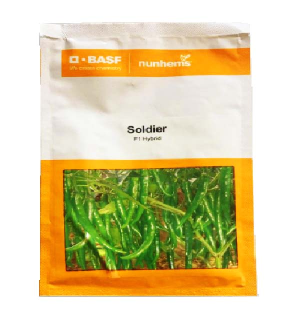 Chilli Soldier 10gm - Nunhems
