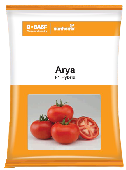 Tomato Arya 10gm - Nunhems