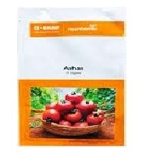 Tomato Aahan F1 10gm - Nunhems