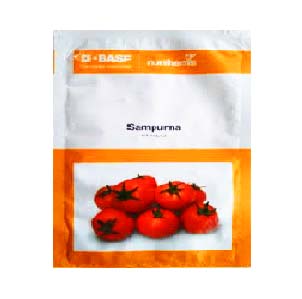Tomato Sampurna 10gm - Nunhems