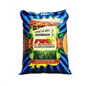 Wheat Seeds - RK Agarwal