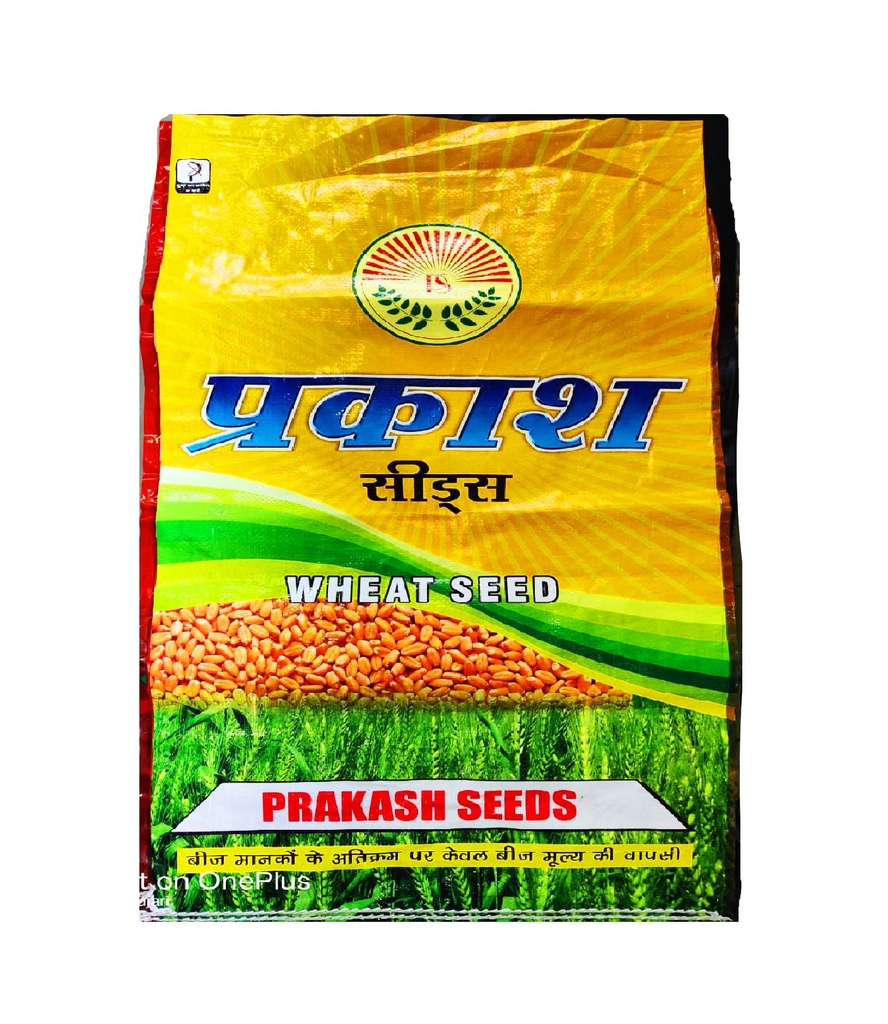 Wheat Seeds - Prakash Seeds