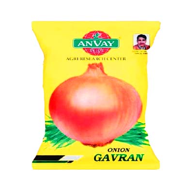 Onion Gavran 500gm - Anvay Seeds