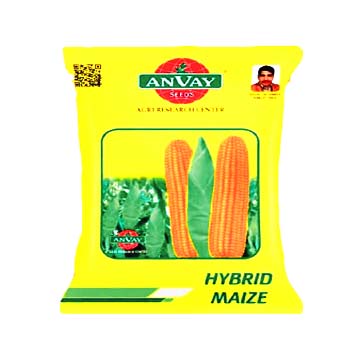 Maize Hyb 500gm - Anvay Seeds