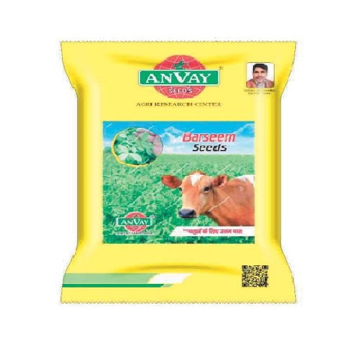 Barseem 1kg - Anvay Seeds