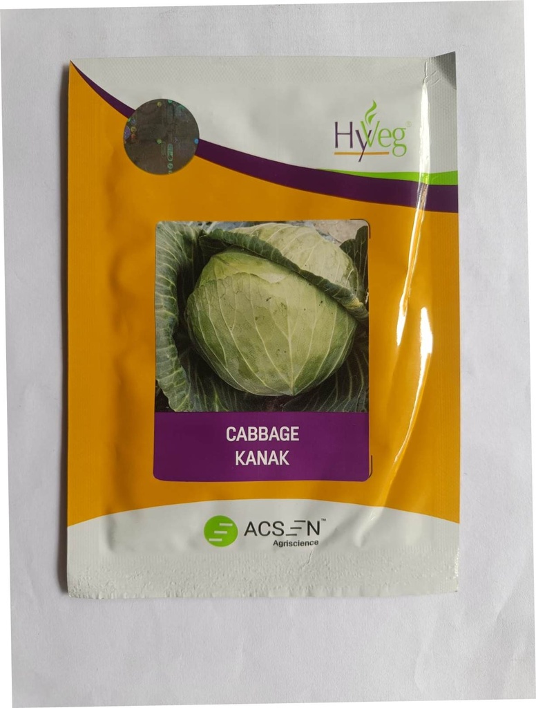 Cabbage Kanak 25gm - Ascen Hyveg