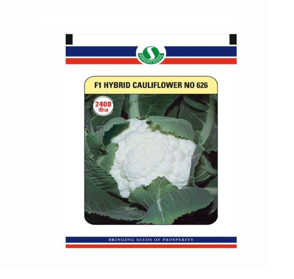 Cauliflower Hyb-626 10gm - Sungro 