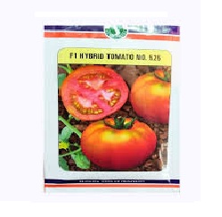 Tomato No-525 10gm - Sungro