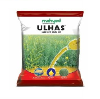 Mustard Ulhas 1kg - Mahyco 