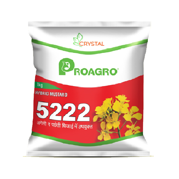 Mustard 5222 (Hyb) 500gm - Crystal seeds 