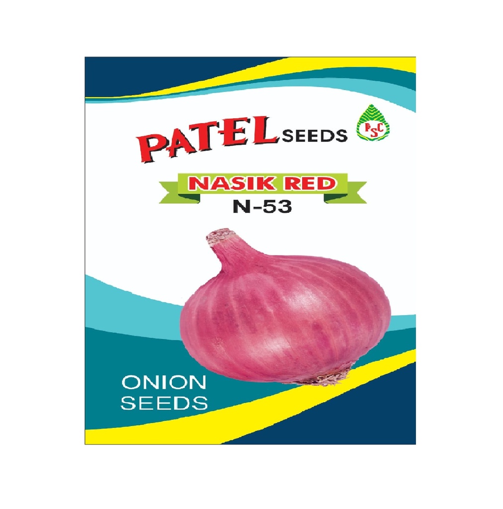 Onion N-53 500gm - Patel Seeds 