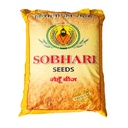 Wheat Seeds - Sobhari Seeds