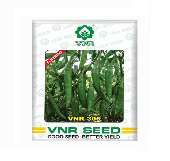 Chilli-305 10gm - VNR Seeds