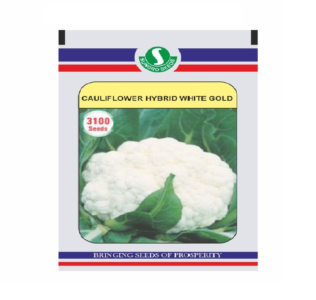 Cauliflower White Gold 10gm - Sungro 