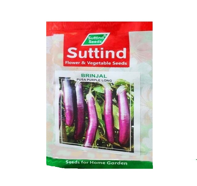 Brinjal PPL 25gm - Suttind