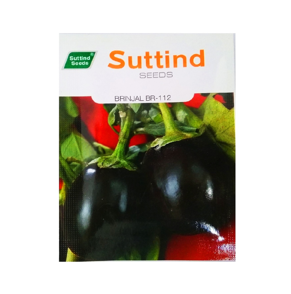 Brinjal BR-112 25gm - Suttind
