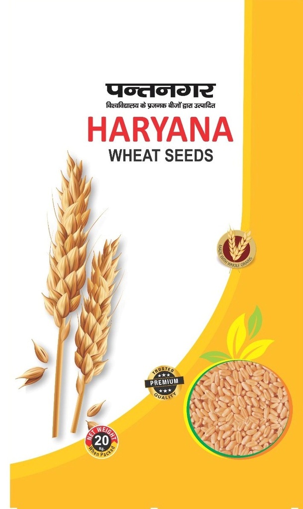 Wheat seeds - Haryana seeds