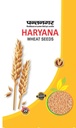 Wheat seeds - Haryana seeds