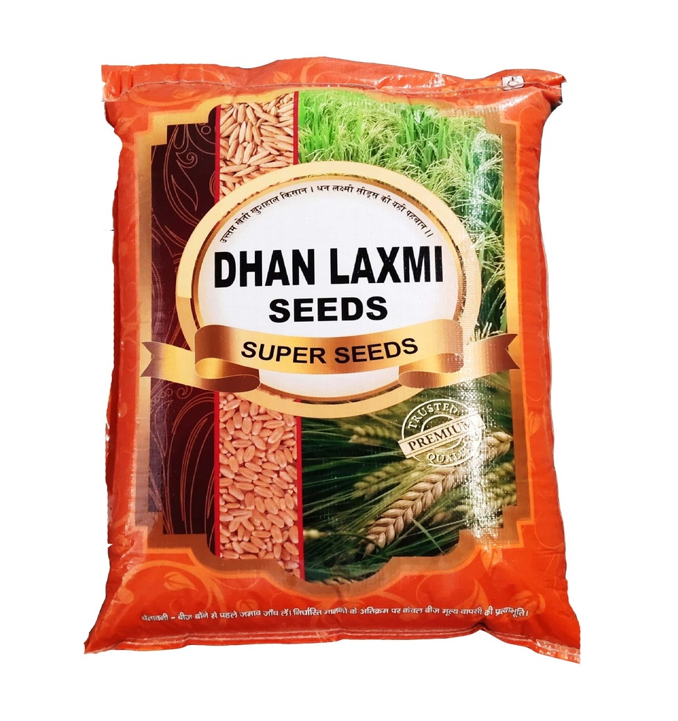Wheat Seeds - Dhan Laxmi Seeds