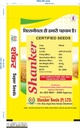 Wheat Seeds - Shanker Seeds 
