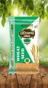 Wheat Seeds - Haryana Gold