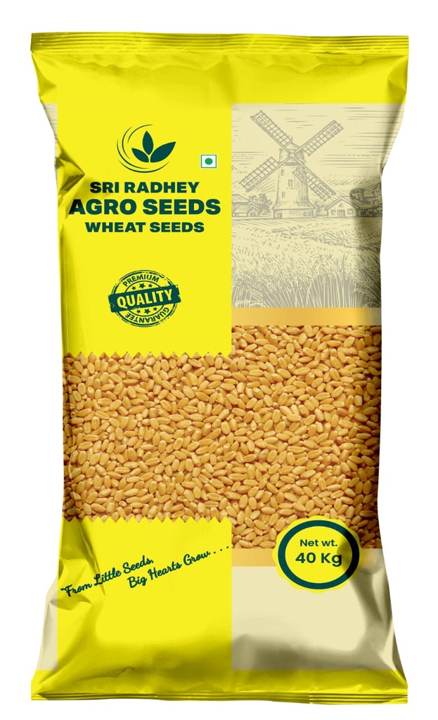 Wheat Seeds - Sri Radhey Agro Seeds