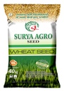 Wheat Seeds - Surya Seeds