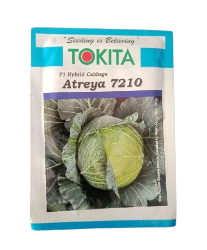 Cabbage Atreya-7210 10gm - Tokita