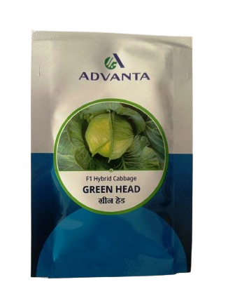 Cabbage Green Head 10gm - Advanta