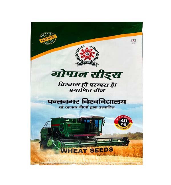 Wheat Seeds - Gopal Seeds