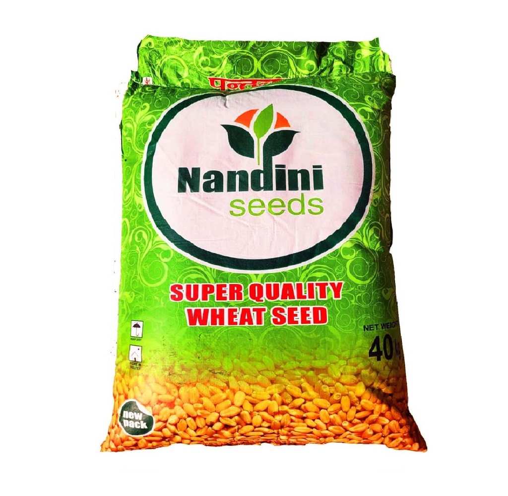 Wheat Seeds - Nandini Seeds