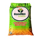 Wheat Seeds - Nandini Seeds